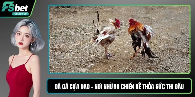 Dàn Đề 30 Số - Cách Lọc Cầu Và Chia Dàn Hợp Lý Hôm Nay