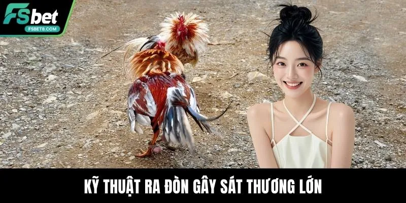 Thuật Ngữ Đá Gà - Kiến Thức Cần Nắm Khi Trải Nghiệm