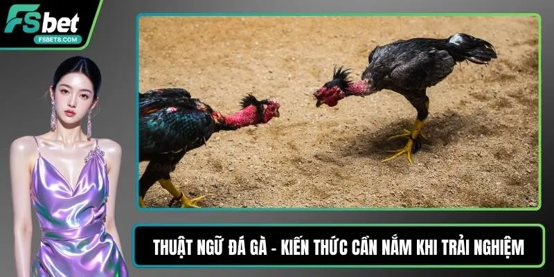 Liên Quân Mobile - Game Hành Động Chiến Thuật Cực Cuốn