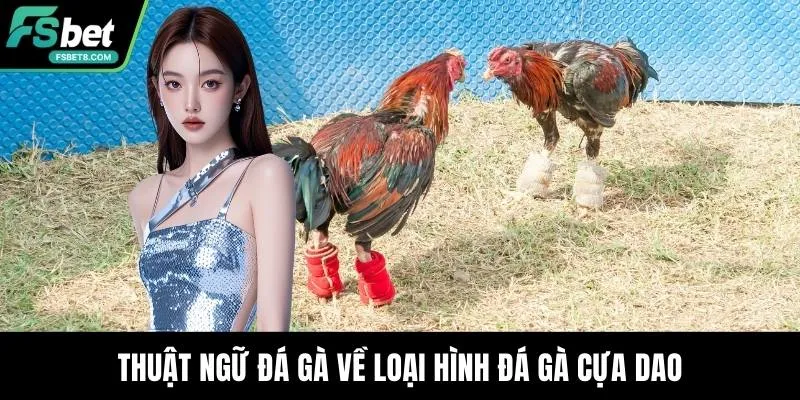 Thuật Ngữ Đá Gà - Kiến Thức Cần Nắm Khi Trải Nghiệm