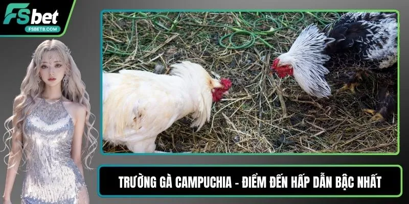 Cá Cược Bóng Đá – Bí Quyết Dự Đoán Chuẩn Xác Tại Fsbet