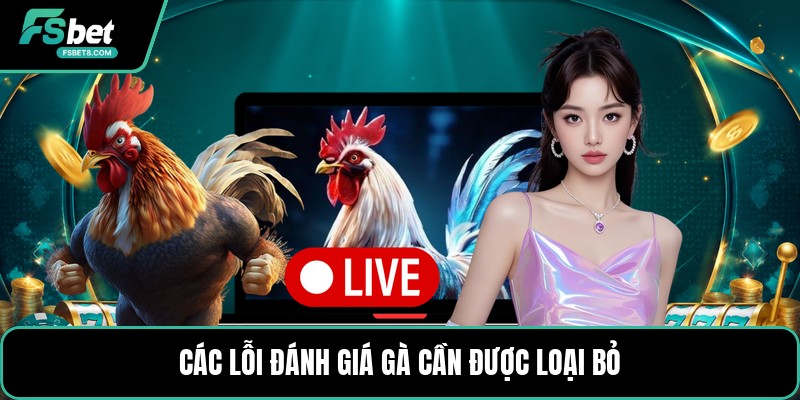 Kinh Nghiệm Chọn Chiến Kê - Cách Xem Chiến Kê Chuẩn