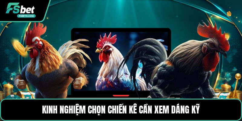 Kinh Nghiệm Chọn Chiến Kê - Cách Xem Chiến Kê Chuẩn