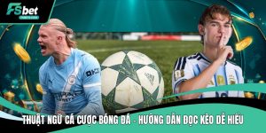 Tin Tức FSBet – Cập Nhật Thông Báo & Thông Tin Mới Nhất