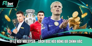 Tin Tức FSBet – Cập Nhật Thông Báo & Thông Tin Mới Nhất