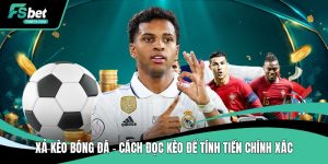 Tin Tức FSBet – Cập Nhật Thông Báo & Thông Tin Mới Nhất